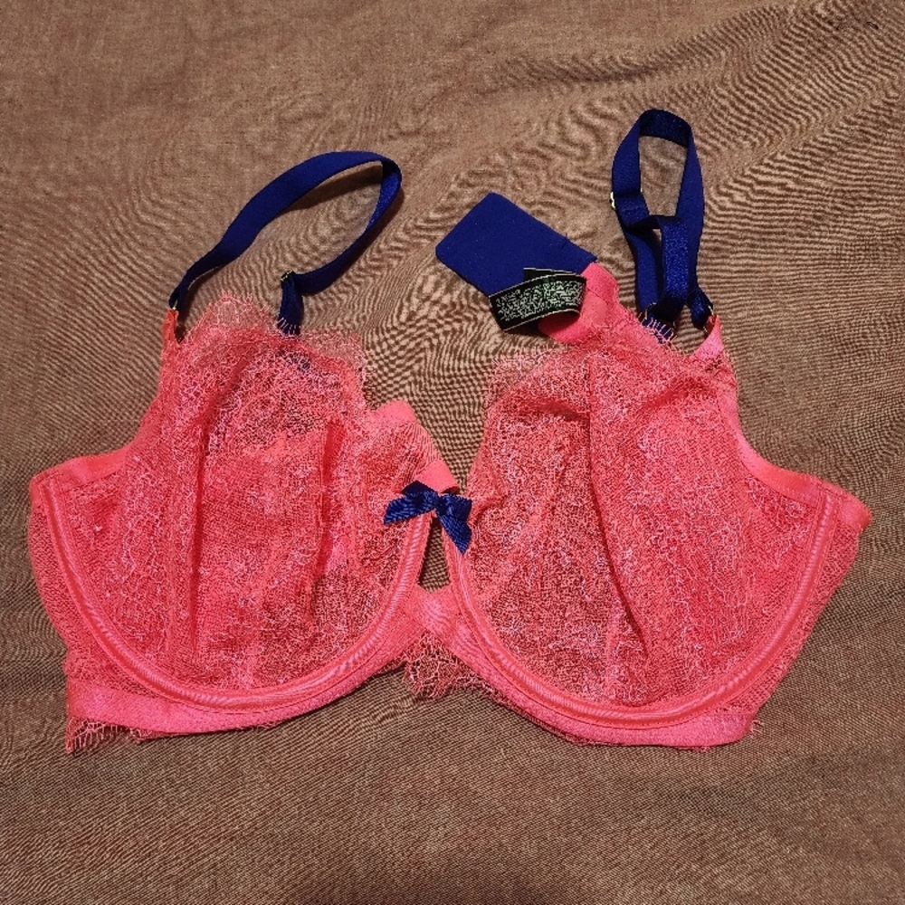 Elegant Pink Lace Bra